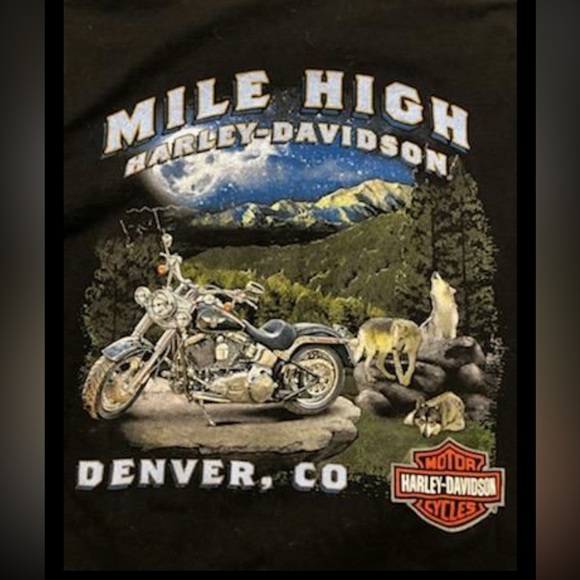 Harley-Davidson Men’s Tee - Picture 4 of 7